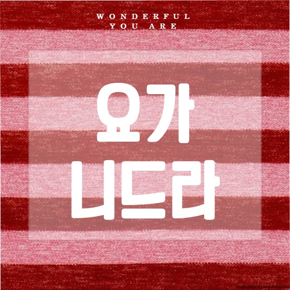 요가 니드라 완벽 가이드: 이완과 명상의 모든 것