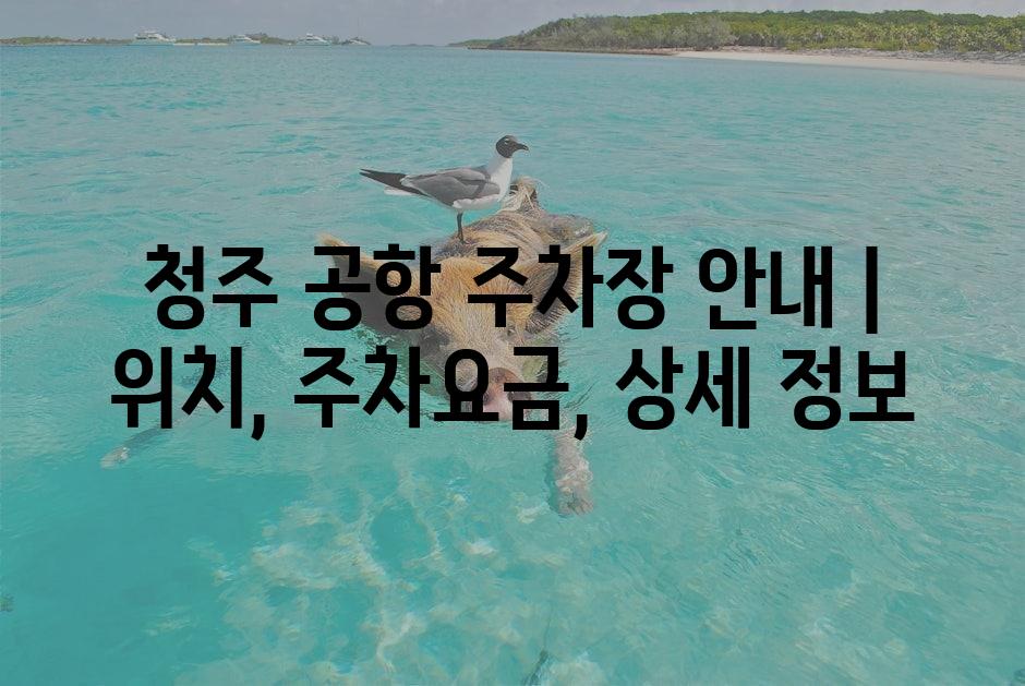 샘플 (1)