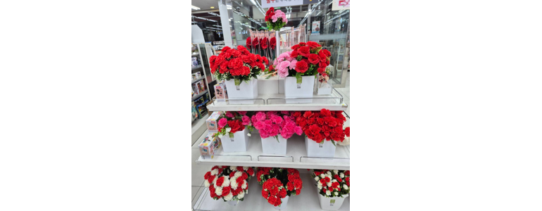 전주 완산구 종합생활용품 다이소