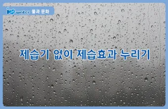 제습기 없이 습기 제거 끝 숯 염화칼슘 등 천연 제습제 활용법 완벽 가이드_20