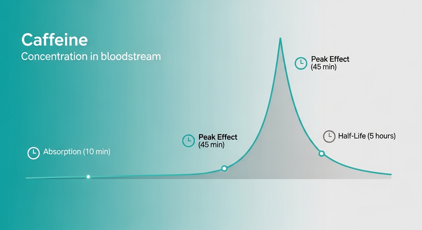 커피 카페인 지속시간: 반감기 뜻부터 숙면을 위한 '마지막 커피 타임' 계산법