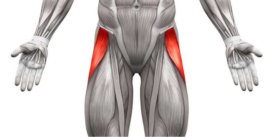 대퇴근막장근 이미지