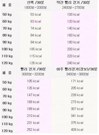걷기 칼로리 계산기 걸음수 소비 칼로리_5