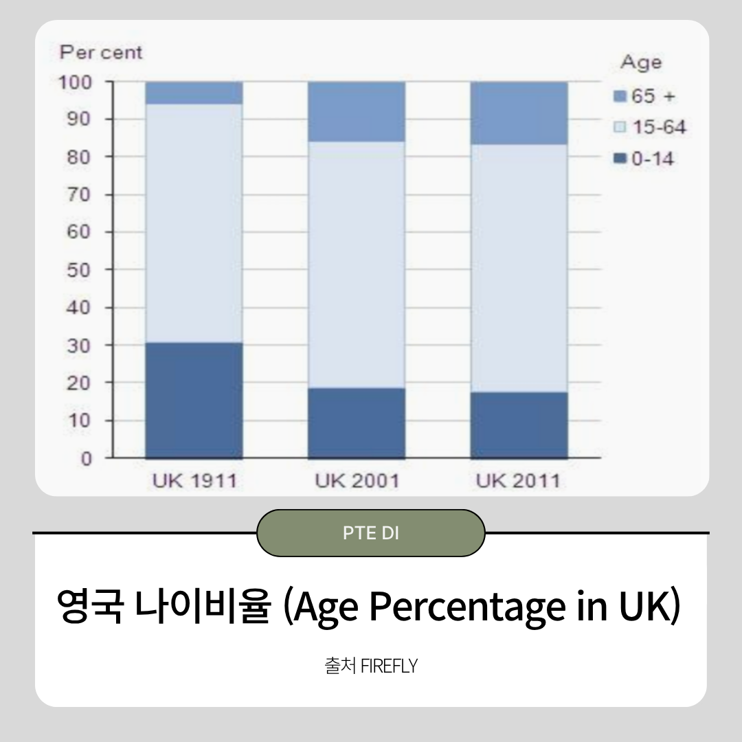 영국 나이 비율 pte DI