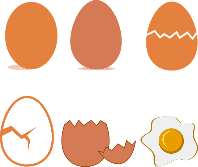 생들기름 먹는 법, 똑똑한 활용법