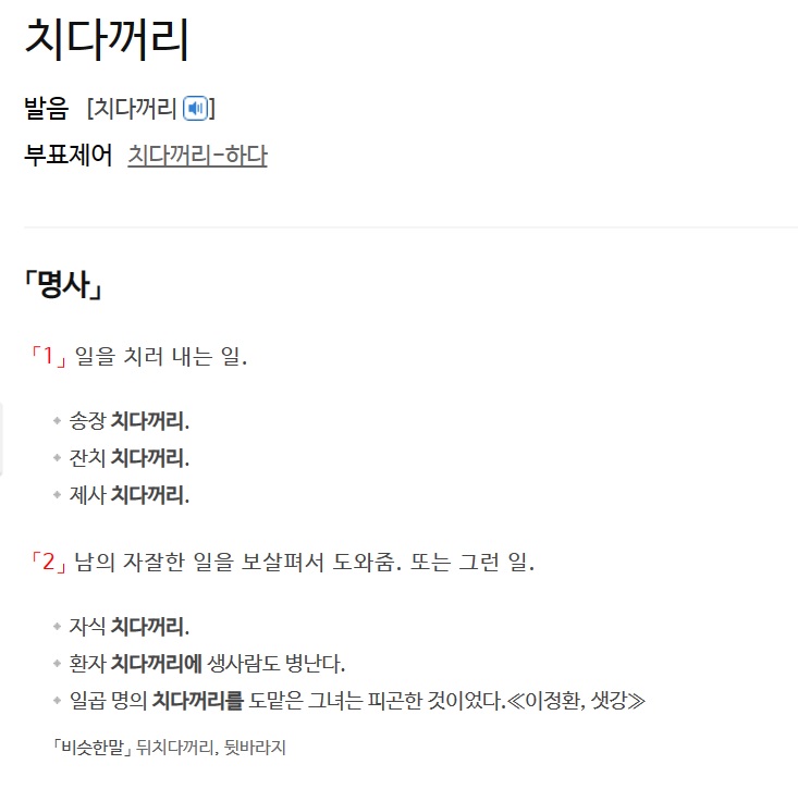 표준국어대사전의 &#39;치다꺼리&#39;의 뜻과 용례