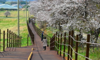 서산 한우 목장길
