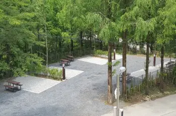 장태산 자연휴양림 야영장(캠핑장)_1