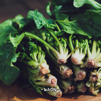 칼륨이 많은 과일과 채소 