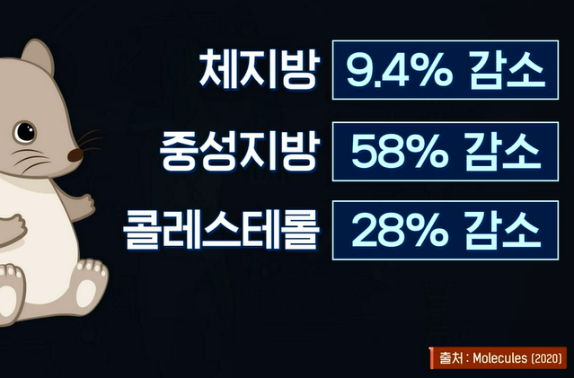 대마종자유 효능