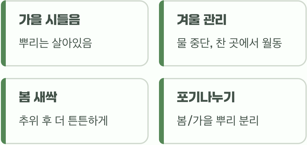 기다림의 미학, 번식과 겨울나기