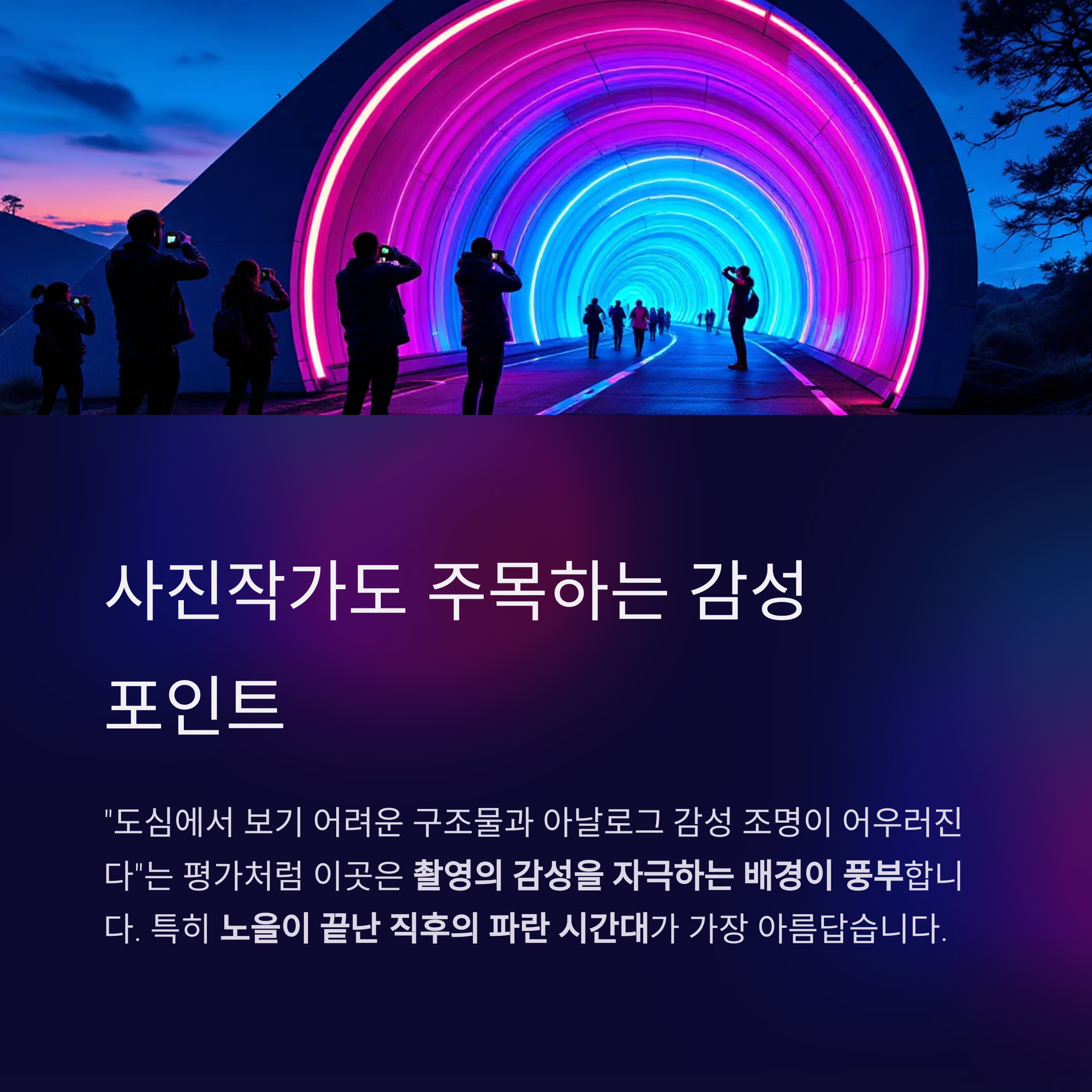 가평 화악터널 쌈지공원, 별빛정원에서 만나는 야경 감성 여행