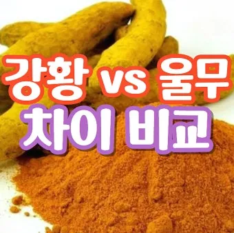 울금 관절 연고 관절통 완화 항염 작용 효능_5
