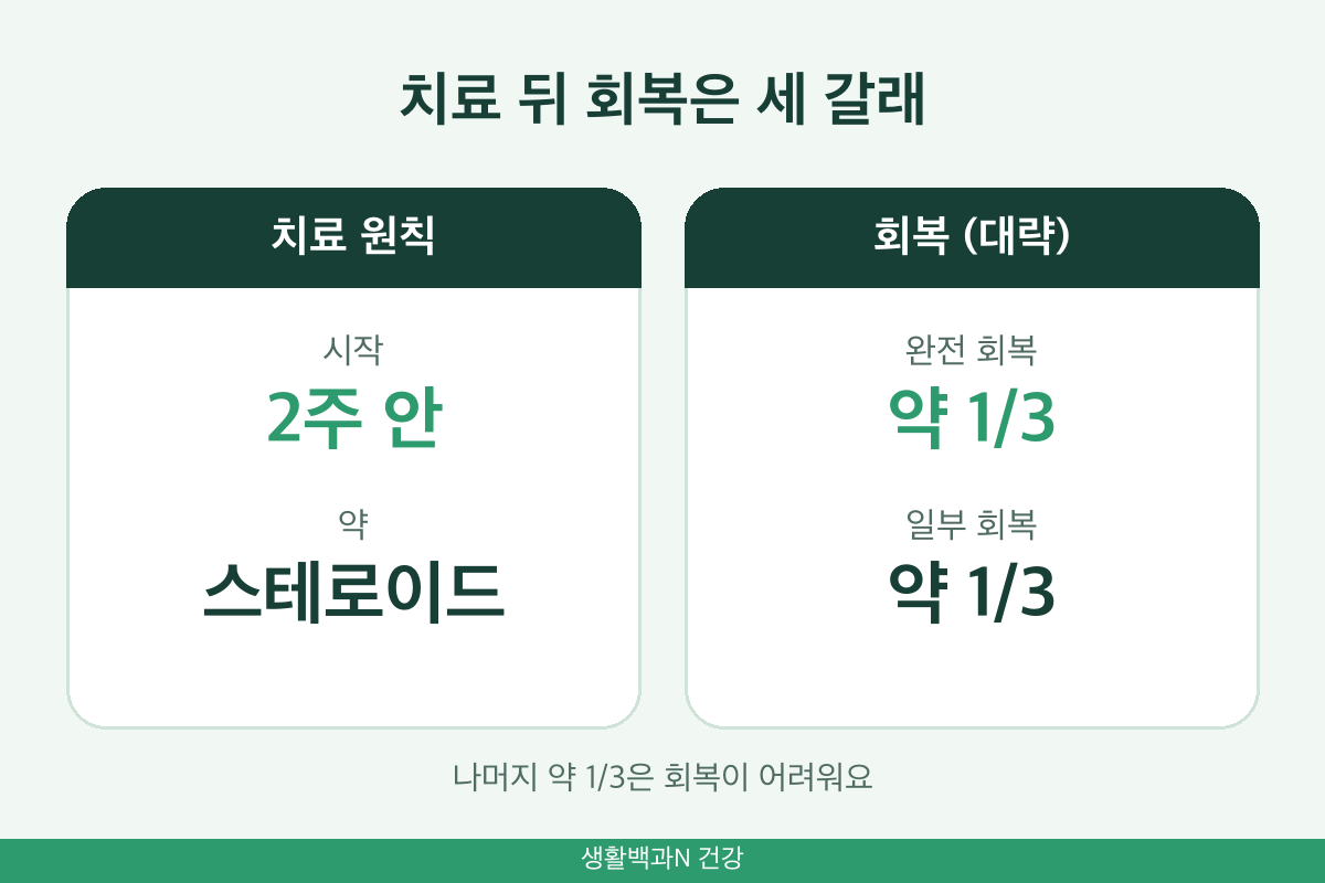 돌발성 난청 치료기간 2주 안 시작 스테로이드 입원 회복률 3분의 1