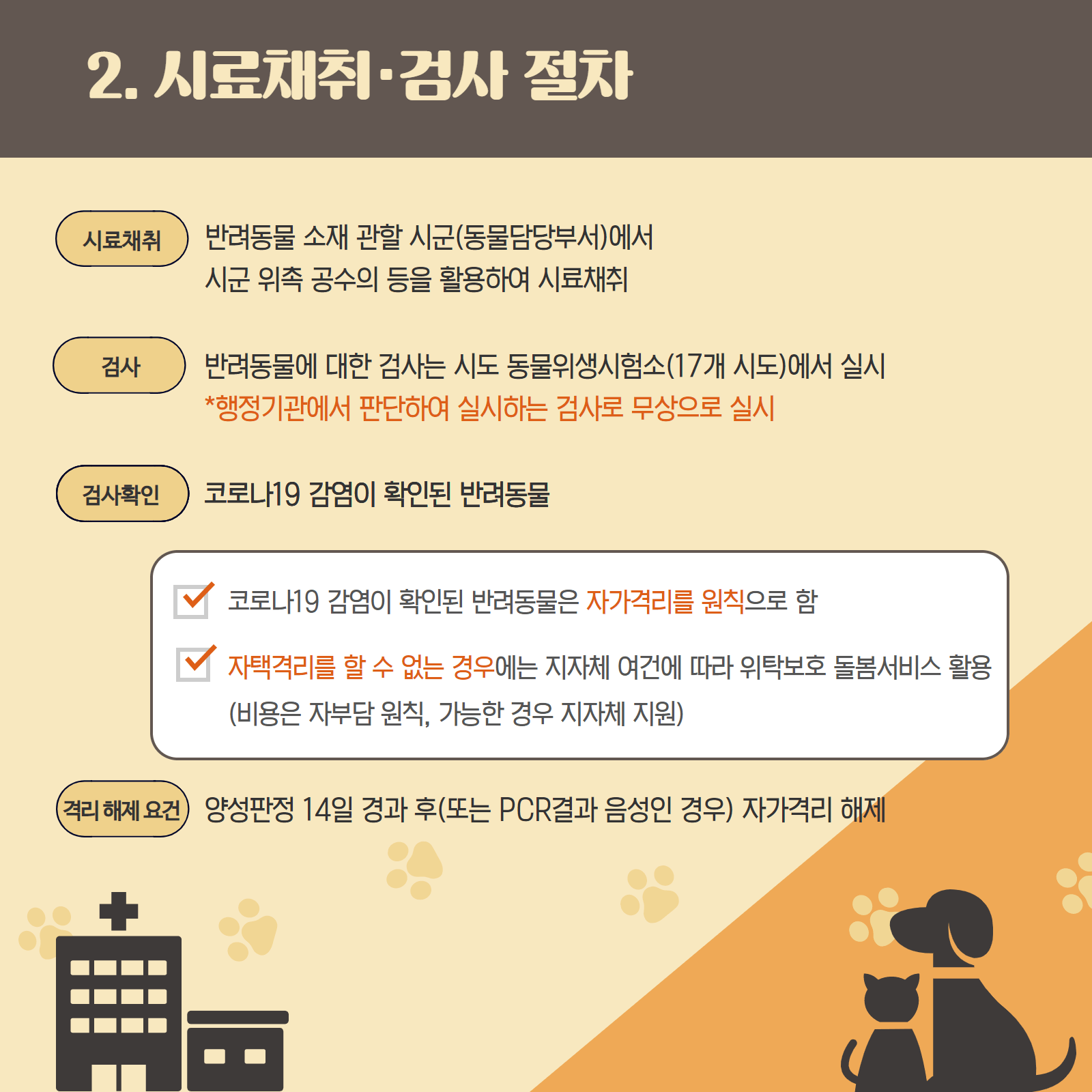 반려동물코로나검사
