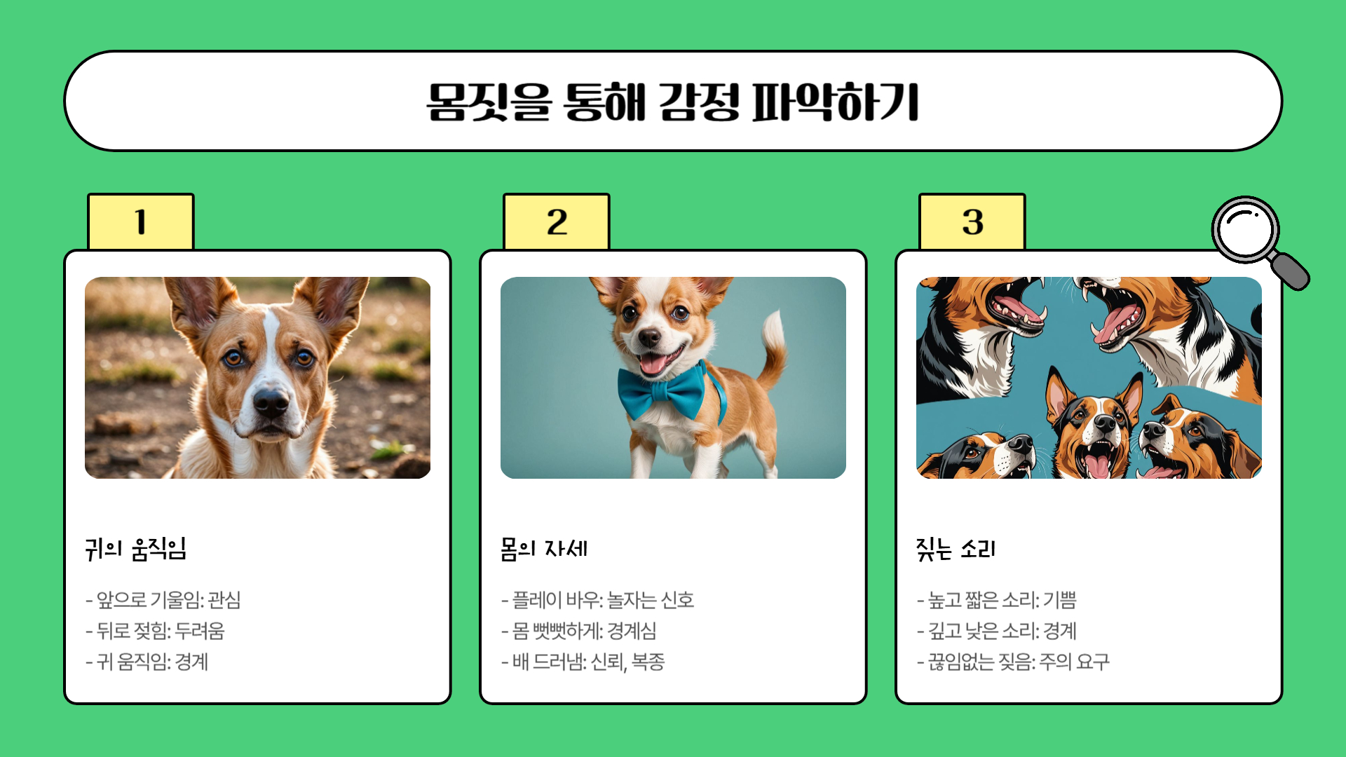 강아지의 행동 언어