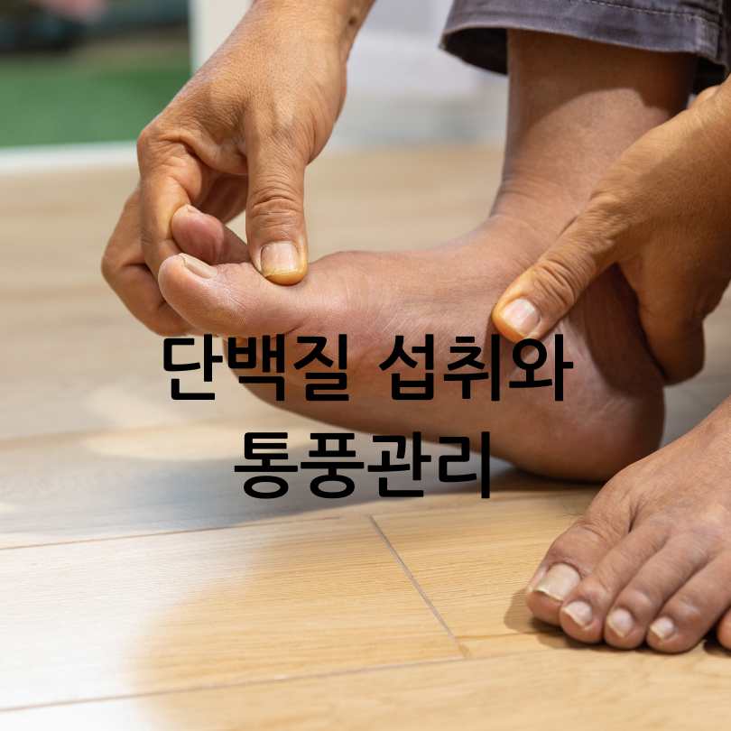 통풍과단백질보충제관계