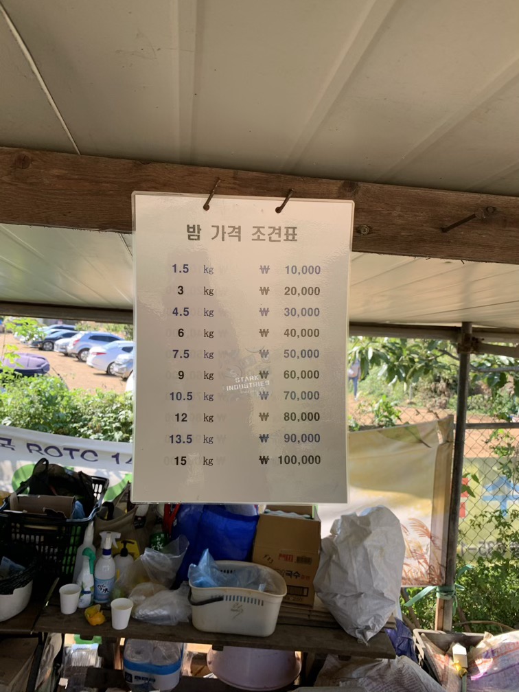 시흥 계수 밤농장 밤 줍기/따기 체험 - 체험 비용