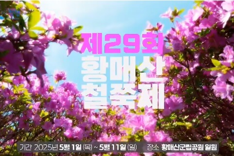 2025 합천 황매산 철쭉제 일정 총정리 및 철쭉 개화현황