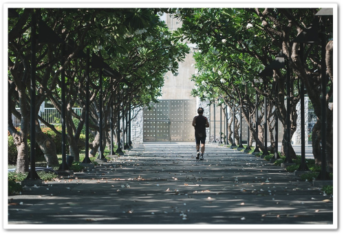 울창한 공원 뛰고있는 사람