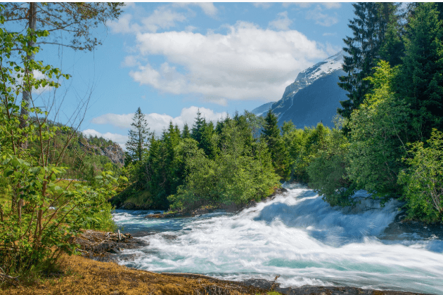 제로웨이스트가 만들어내는 사회적 변화와 미래의 지속 가능한 도시