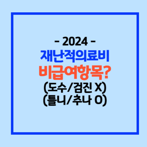 재난적의료비 지원내용
