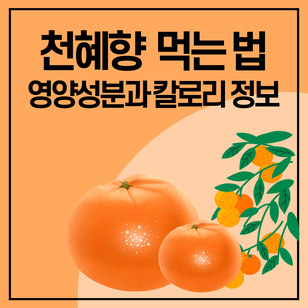 천혜향 효능과 칼로리 영양성분을 담은 썸네일