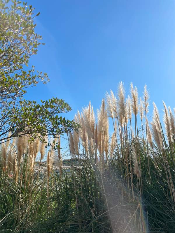 제주-혼자-여행-추천-카페-베어파인