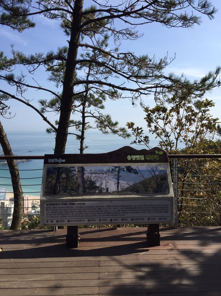 해운대 산책하기 좋은 곳 송정옛길