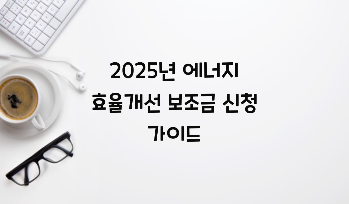 에너지 효율개선 보조금