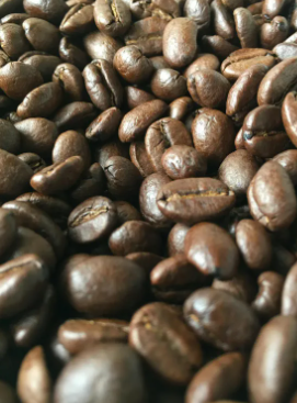 경춘선 공릉숲길 커피축제