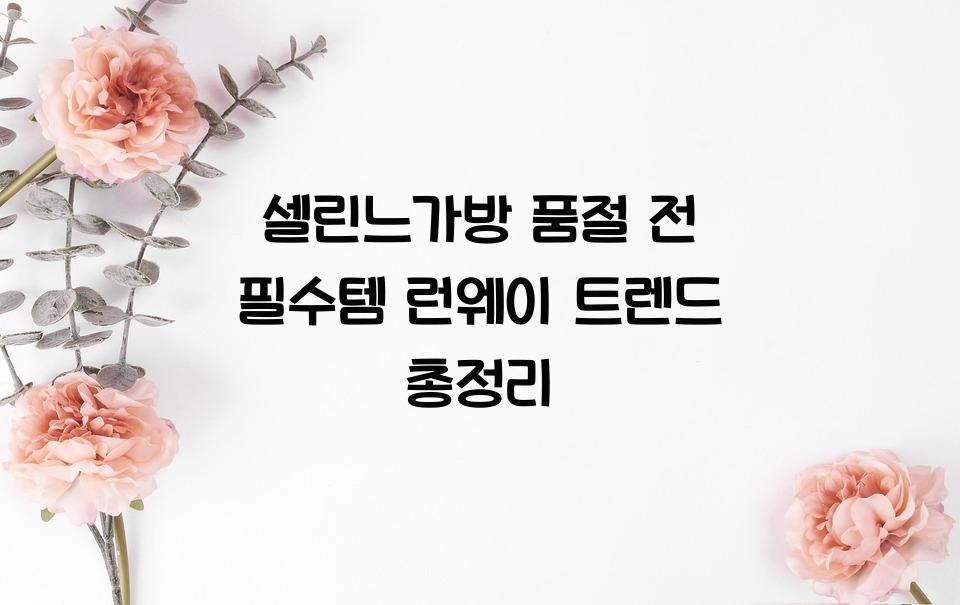 셀린느가방