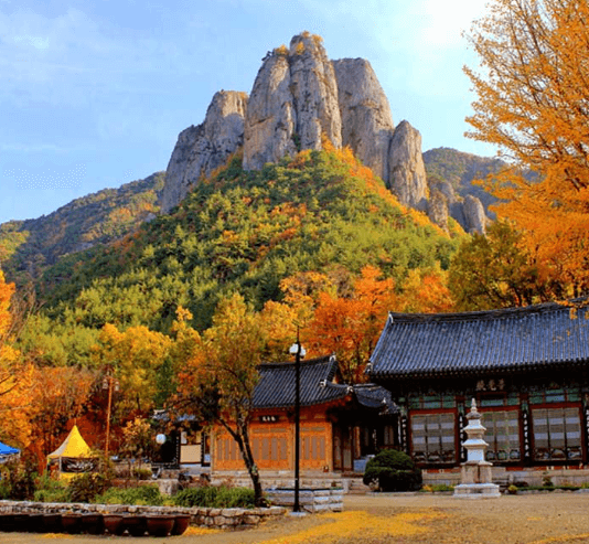 단풍여행 단풍트레킹 당일버스 여행