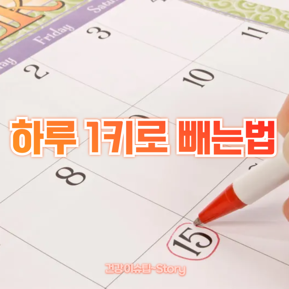 하루 1키로 빼는법