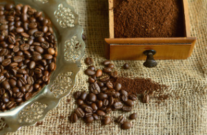 생두의 정의와 종류