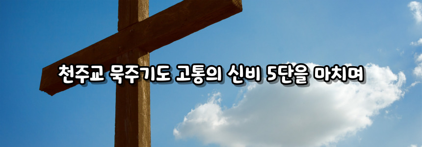 천주교 묵주기도 고통의 신비 5단