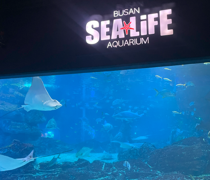 부산 아쿠아리움