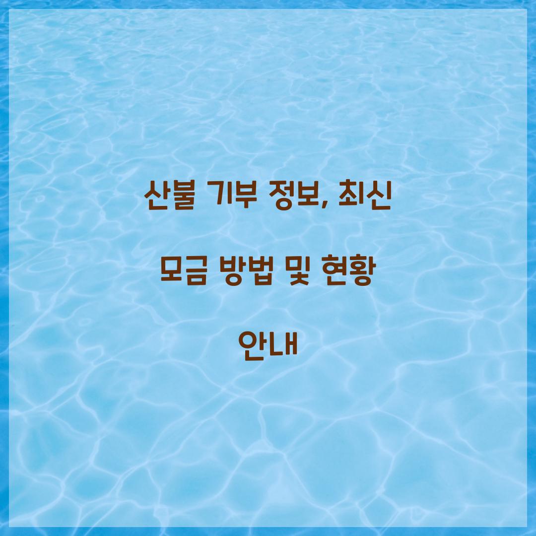 산불 기부