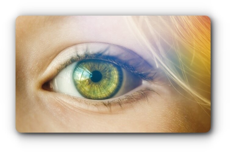 eye