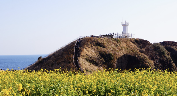 제주도 여름 여행 코스! 해변, 카페, 오름 완벽 가이드