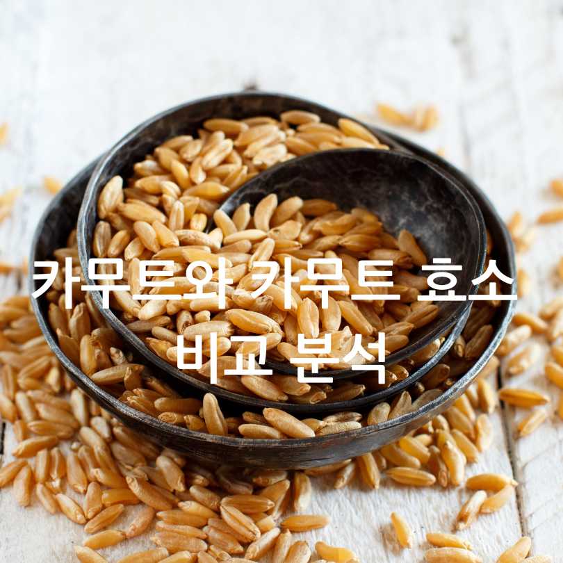 카무트와 카무트 효소 비교