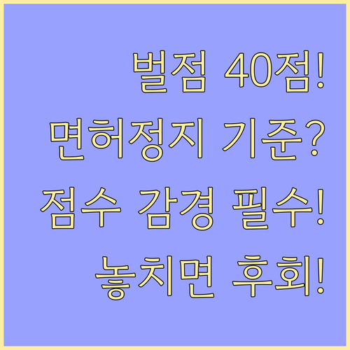 운전면허 벌점 40점 면허 정지 기준..