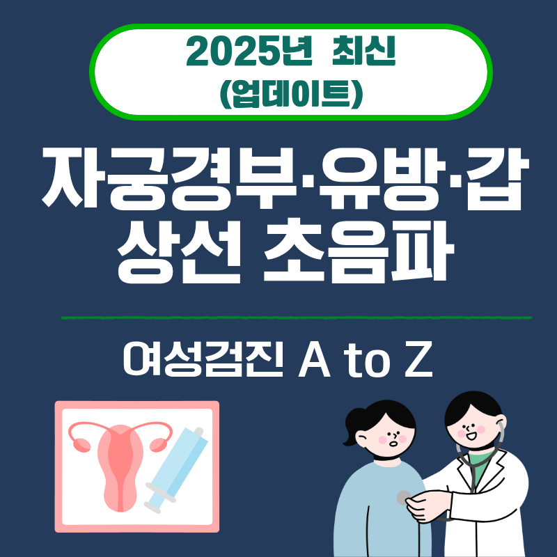 12. 여성검진 A to Z｜자궁경부&middot;유방&middot;갑상선 초음파 (2025)
