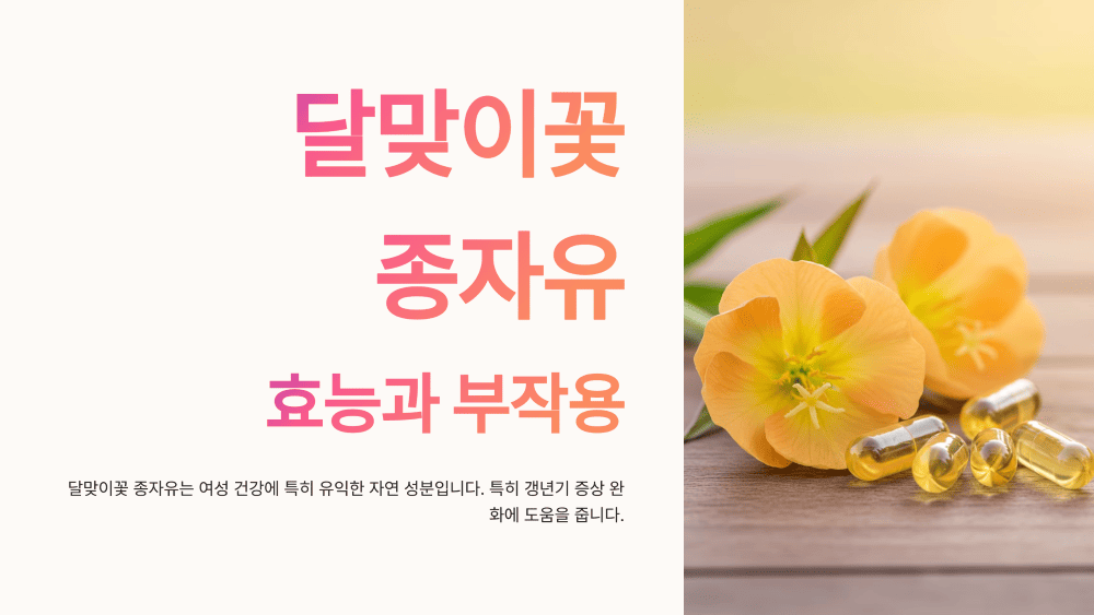 달맞이꽃 종자유 효능