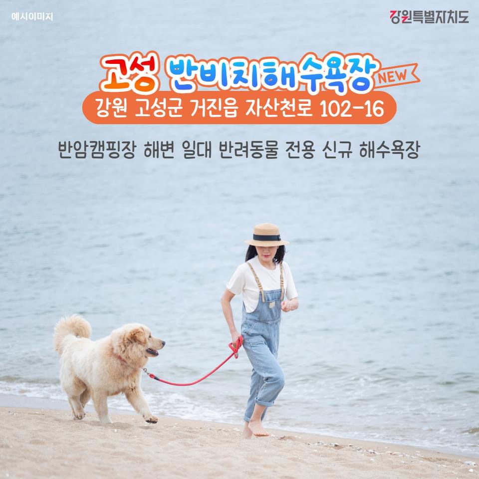 해수욕장