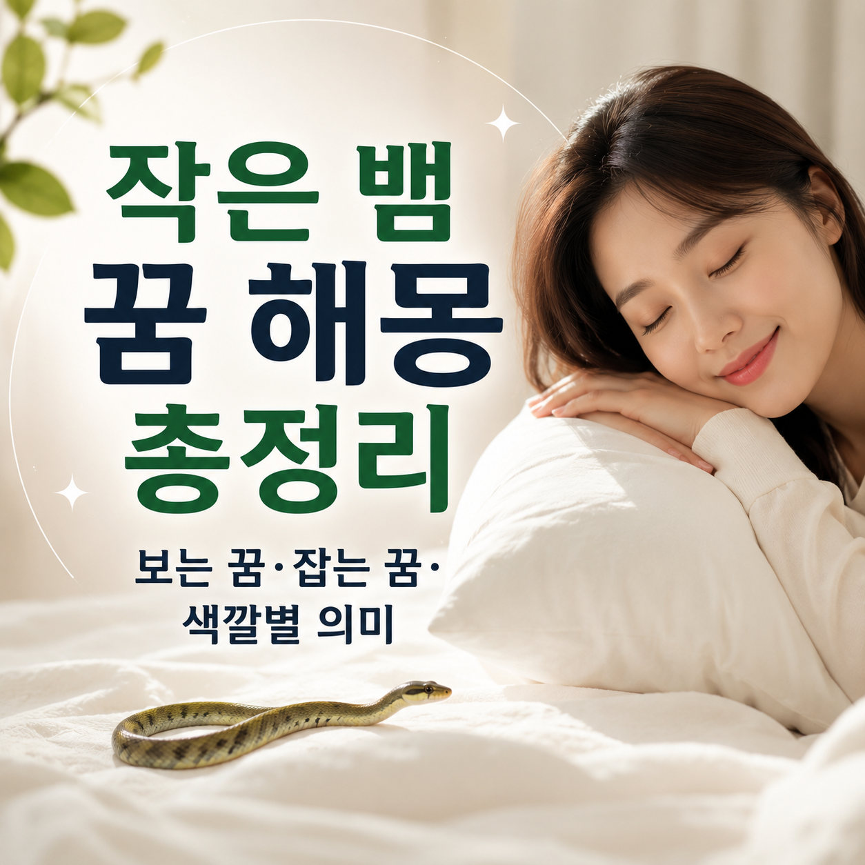 작은 뱀 꿈