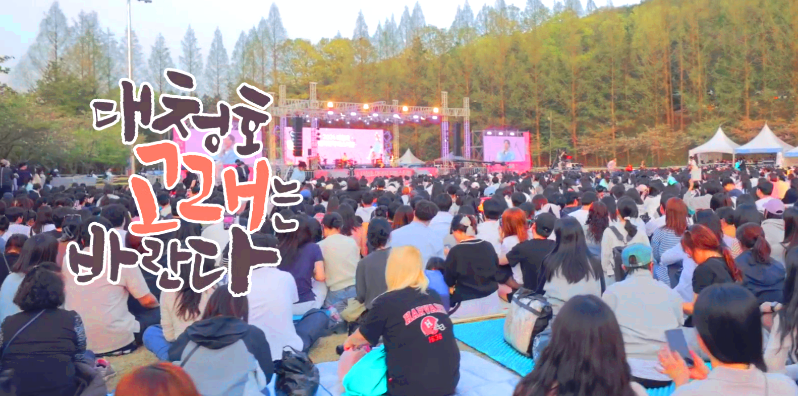 대덕물빛축제