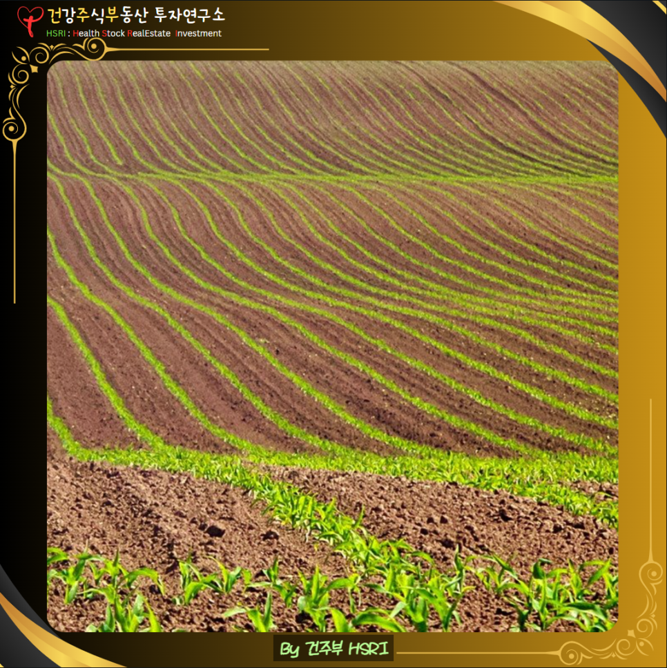 심는 자에게 하나님은 씨앗과 먹을 양식을 주십니다. 그리고 풍성하게 하시고 많은 열매를 거두게 하십니다.

(글 그림 : 건주부, 그림 출처 : Canva)