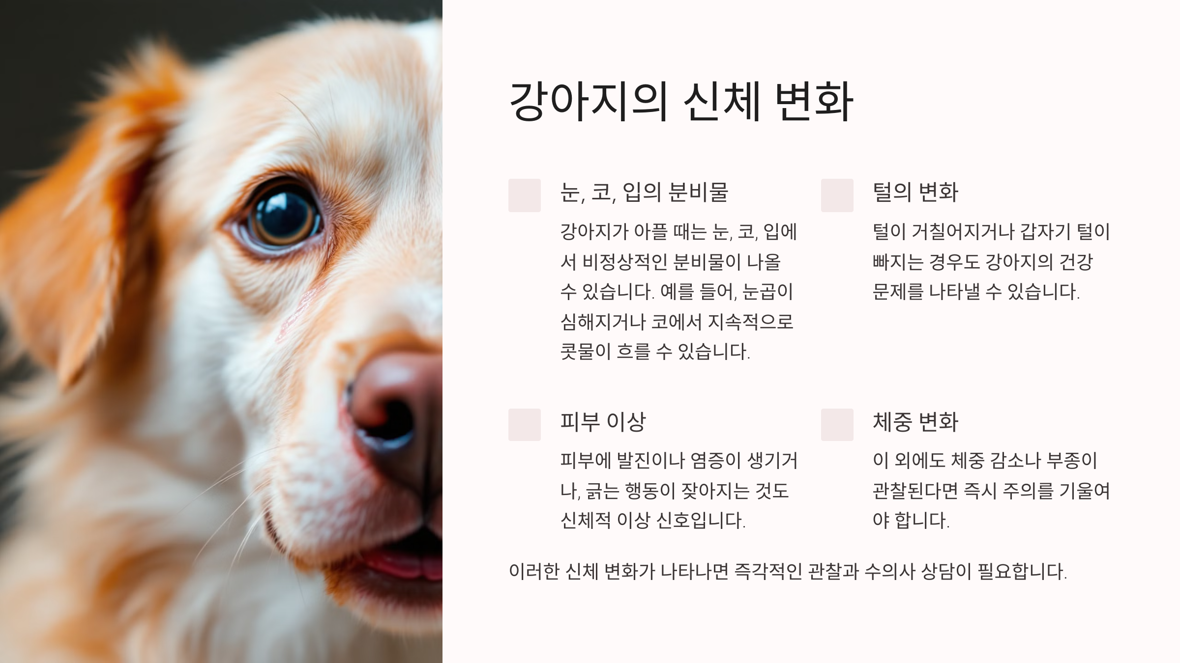 강아지의 신체 변화