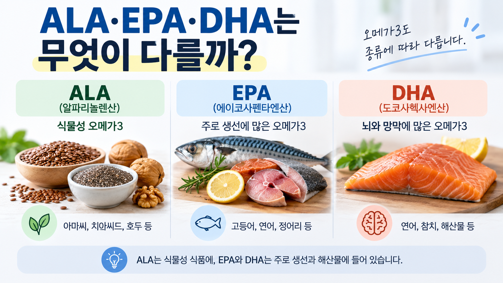 ALA EPA DHA 차이와 주요 식품 공급원 비교 이미지